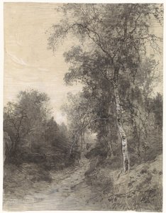 Veduta nella foresta da Johannes Warnardus Bilders